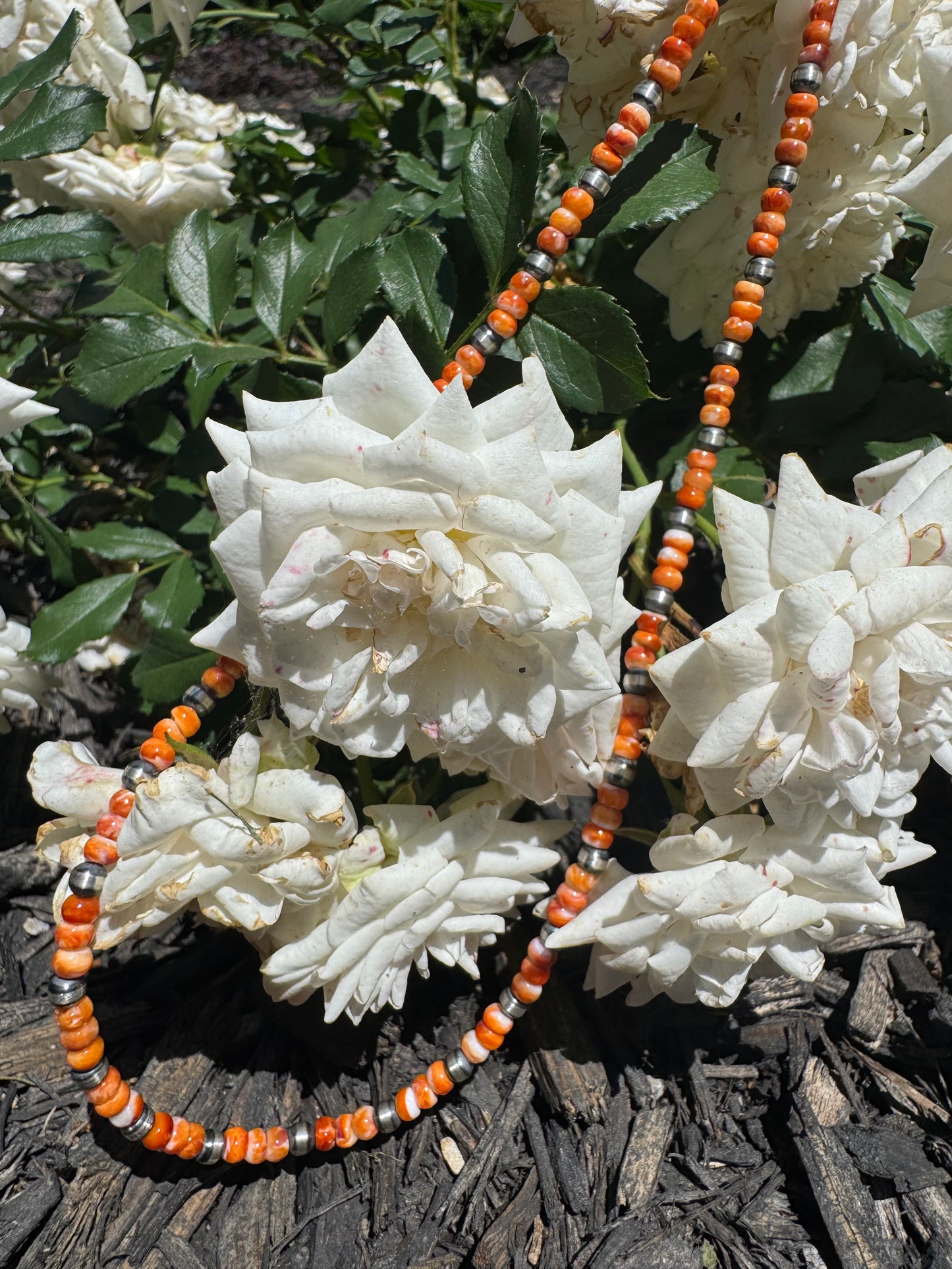 Orange Spiney & 2mm Sterling Pearl Necklace