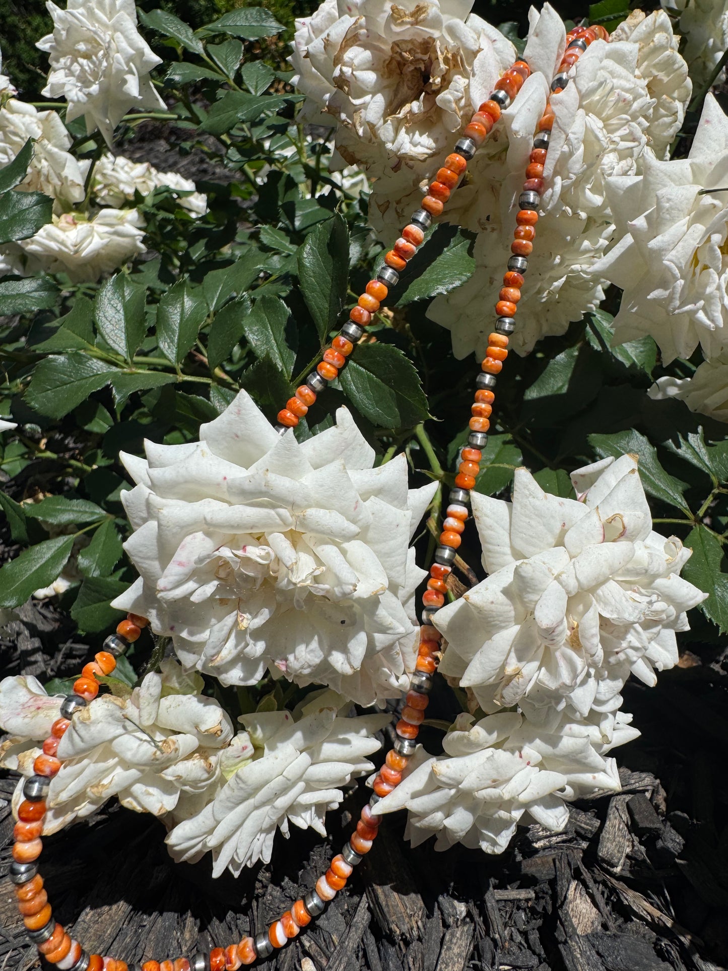 Orange Spiney & 2mm Sterling Pearl Necklace